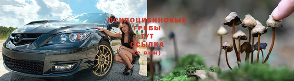 стафф Армянск