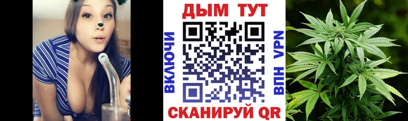 Бошки марихуана Amnesia  kraken как зайти  Чердынь 